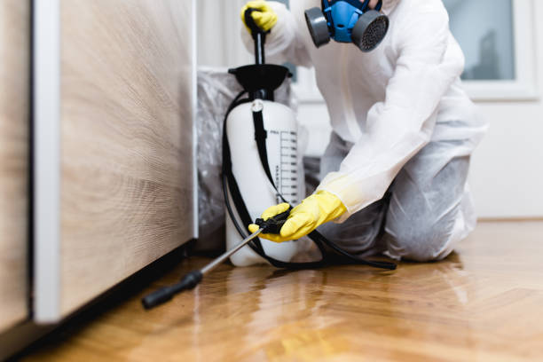 Best Affordable Pest Control Services  in Clinton, SC