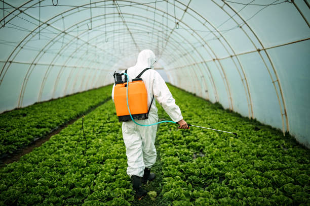 Professional Pest Control in Clinton, SC