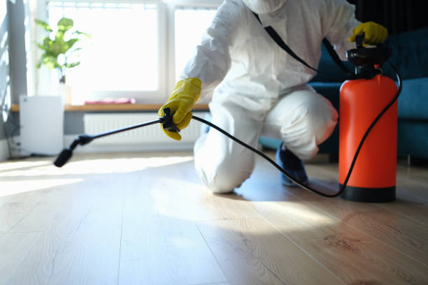 Pest Prevention Services in Clinton, SC