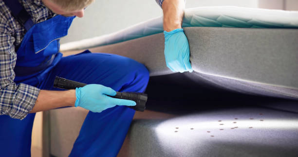 Best Flea Control Services  in Clinton, SC