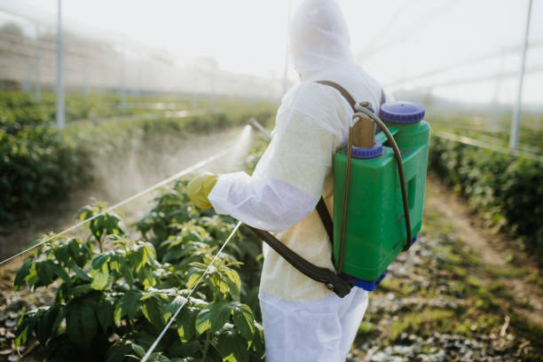 Best Affordable Pest Control Services  in Clinton, SC
